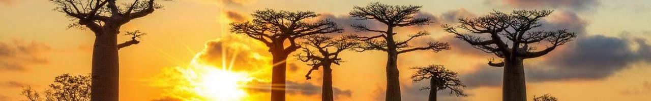 5 – De Mandrivazo à Morondova