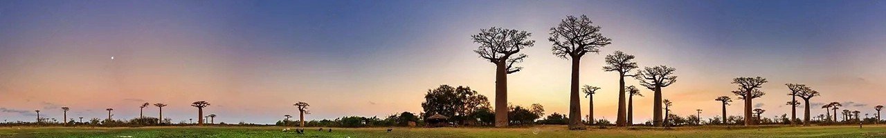 Tourisme à Madagascar