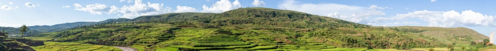 Les malgaches et le riz