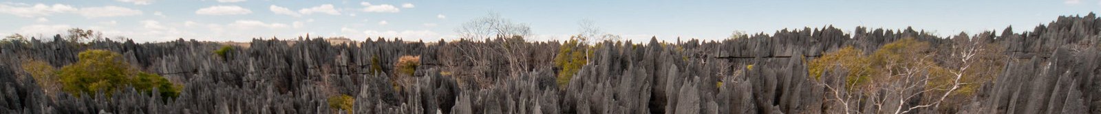 7 – Parc National des Tsingy De Bemaraha